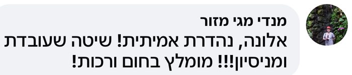 מנדי